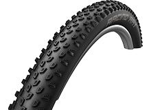 Schwalbe Racing Ray Performance